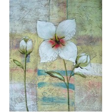 Натюрморт: белый цветок, выполненный маслом на холсте